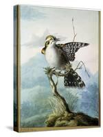 A Little Bird, 1798-Georgius Jacobus Johannes van Os-Stretched Canvas