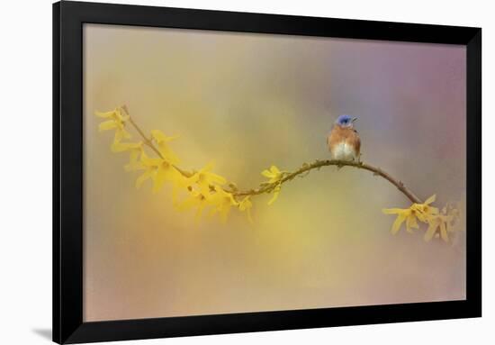 A Little Blue in the Garden-Jai Johnson-Framed Giclee Print