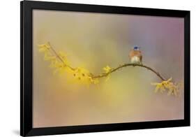 A Little Blue in the Garden-Jai Johnson-Framed Giclee Print