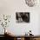 A Little Boy Holding a Banana Whilst Other Children Gaze Longingly at It-null-Photographic Print displayed on a wall