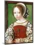 A Little Girl, C1520-Jan Gossaert-Mounted Giclee Print