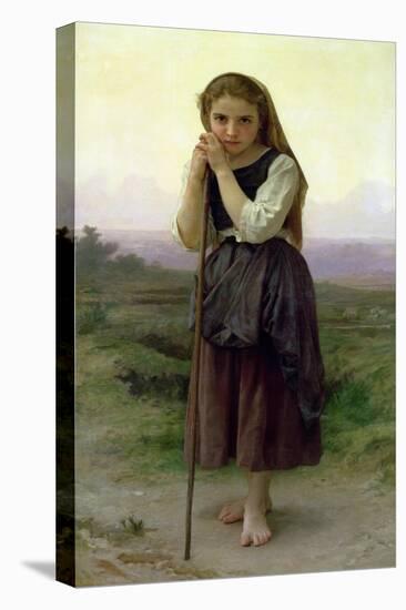 A Little Shepherdess, 1891-William Adolphe Bouguereau-Stretched Canvas