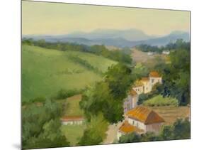 A Little Spanish Village-Mary Jean Weber-Mounted Art Print