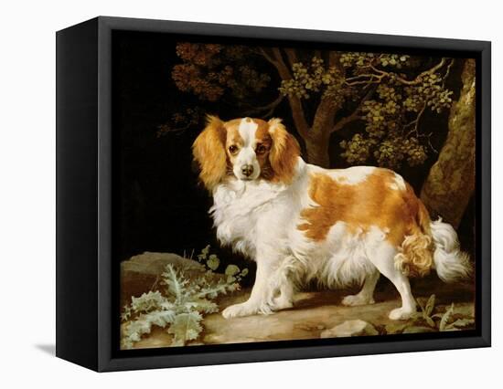 A Liver and White King Charles Spaniel in a Wooded Landscape, 1776-George Stubbs-Framed Stretched Canvas