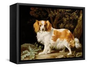 A Liver and White King Charles Spaniel in a Wooded Landscape, 1776-George Stubbs-Framed Stretched Canvas