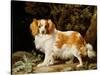 A Liver and White King Charles Spaniel in a Wooded Landscape, 1776-George Stubbs-Stretched Canvas