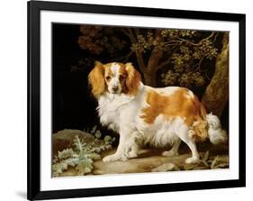 A Liver and White King Charles Spaniel in a Wooded Landscape, 1776-George Stubbs-Framed Giclee Print