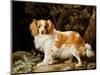 A Liver and White King Charles Spaniel in a Wooded Landscape, 1776-George Stubbs-Mounted Giclee Print