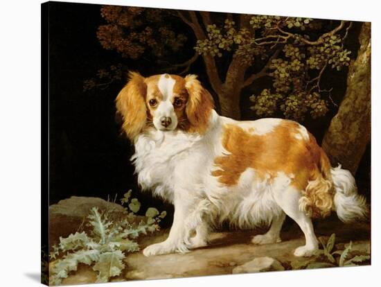 A Liver and White King Charles Spaniel in a Wooded Landscape, 1776-George Stubbs-Stretched Canvas