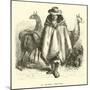 A Llama Driver-Édouard Riou-Mounted Giclee Print