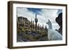 A Llama Watches Out over Isla Del Pescado Above Salar De Uyuni-Alex Saberi-Framed Photographic Print