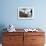 A Llama Watches Out over Isla Del Pescado Above Salar De Uyuni-Alex Saberi-Framed Photographic Print displayed on a wall