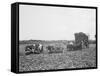 A Load of Cane on a Cuban Sugar Plantation-null-Framed Stretched Canvas