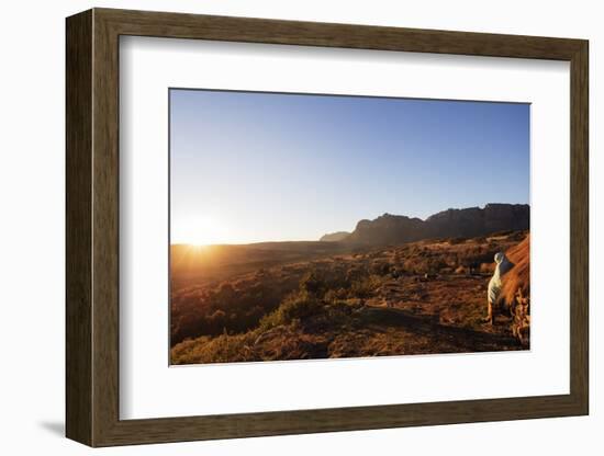 A local man warming up in the morning sun, Andringitra National Park, Ambalavao, central area, Mada-Christian Kober-Framed Photographic Print