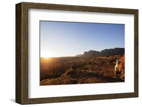 A local man warming up in the morning sun, Andringitra National Park, Ambalavao, central area, Mada-Christian Kober-Framed Photographic Print