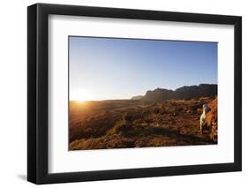 A local man warming up in the morning sun, Andringitra National Park, Ambalavao, central area, Mada-Christian Kober-Framed Photographic Print