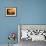 A Local Resident Throws a Bucket of Water on a Forest Fire-null-Framed Photographic Print displayed on a wall