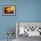 A Local Resident Throws a Bucket of Water on a Forest Fire-null-Framed Photographic Print displayed on a wall