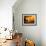 A Local Resident Throws a Bucket of Water on a Forest Fire-null-Framed Photographic Print displayed on a wall