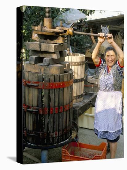 A Local Winemaker Pressing Her Grapes at the Cantina, Torano Nuovo, Abruzzi, Italy-Michael Newton-Stretched Canvas