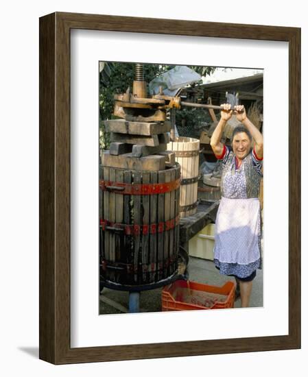 A Local Winemaker Pressing Her Grapes at the Cantina, Torano Nuovo, Abruzzi, Italy-Michael Newton-Framed Photographic Print