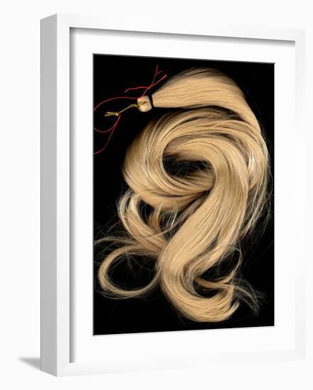 A Lock of Blonde Synthetic Hair-Winfred Evers-Framed Photographic Print