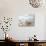 A Loft Apartment Interior with Seascape View-PlusONE-Photographic Print displayed on a wall