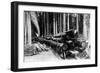 A Log Train in Western Washington Photograph - Washington State-Lantern Press-Framed Art Print