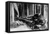 A Log Train in Western Washington Photograph - Washington State-Lantern Press-Framed Stretched Canvas