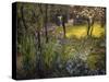 A London Garden, 1904-Thomas Matthews Rooke-Stretched Canvas