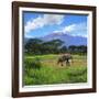 A Lone African Elephant (Loxodonta Africana) by Mt. Kilimanjaro, Amboseli Nat'l Park, Kenya-Miva Stock-Framed Premium Photographic Print