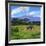 A Lone African Elephant (Loxodonta Africana) by Mt. Kilimanjaro, Amboseli Nat'l Park, Kenya-Miva Stock-Framed Photographic Print