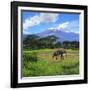 A Lone African Elephant (Loxodonta Africana) by Mt. Kilimanjaro, Amboseli Nat'l Park, Kenya-Miva Stock-Framed Photographic Print