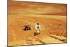 A Lone Astronaut Looks Up at the Sun While Exploring Mars-Stocktrek Images-Mounted Art Print