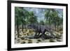 A Lone Camarasaurus Sauropod Dinosaur Grazing-null-Framed Art Print