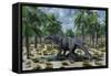 A Lone Camarasaurus Sauropod Dinosaur Grazing-null-Framed Stretched Canvas