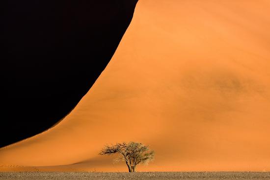 Photo, , large