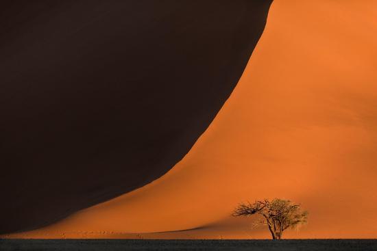 Photo, , large
