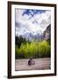 A Lone Cyclist Travels Along a Mountain Road with Trees and the Julian Alps in the Background-Sean Cooper-Framed Premium Photographic Print