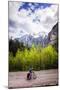 A Lone Cyclist Travels Along a Mountain Road with Trees and the Julian Alps in the Background-Sean Cooper-Mounted Premium Photographic Print