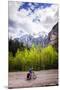 A Lone Cyclist Travels Along a Mountain Road with Trees and the Julian Alps in the Background-Sean Cooper-Mounted Premium Photographic Print