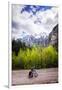 A Lone Cyclist Travels Along a Mountain Road with Trees and the Julian Alps in the Background-Sean Cooper-Framed Photographic Print