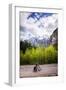 A Lone Cyclist Travels Along a Mountain Road with Trees and the Julian Alps in the Background-Sean Cooper-Framed Photographic Print