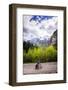 A Lone Cyclist Travels Along a Mountain Road with Trees and the Julian Alps in the Background-Sean Cooper-Framed Photographic Print