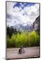 A Lone Cyclist Travels Along a Mountain Road with Trees and the Julian Alps in the Background-Sean Cooper-Mounted Photographic Print