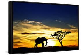 A Lone Elephant Africa-kesipun-Framed Stretched Canvas