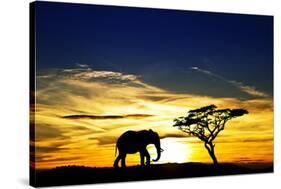 A Lone Elephant Africa-kesipun-Stretched Canvas