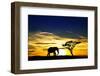 A Lone Elephant Africa-kesipun-Framed Premium Photographic Print