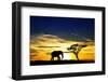 A Lone Elephant Africa-kesipun-Framed Premium Photographic Print