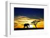 A Lone Elephant Africa-kesipun-Framed Premium Photographic Print